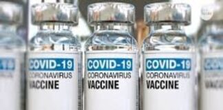 vaccine, covid-19