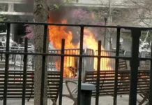 man sets himself on fire, trump trial