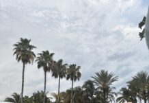What It’s Really Like to Attend Miami Swim Week: A Front-Row Diary Miami Swim Week